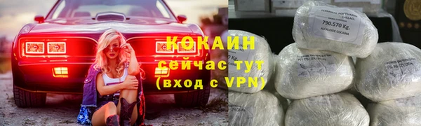 трава Новозыбков
