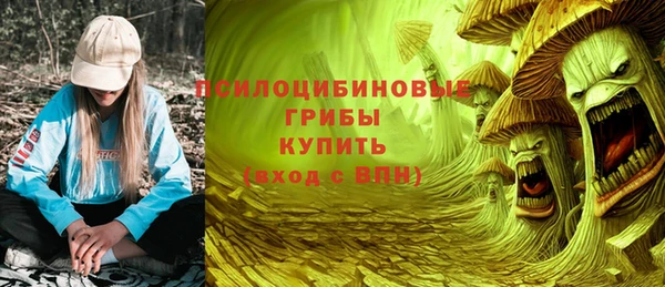 трава Новозыбков