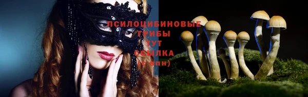 кокс Новодвинск
