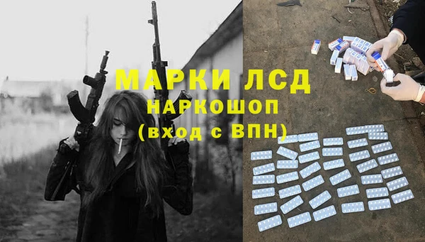 трава Новозыбков