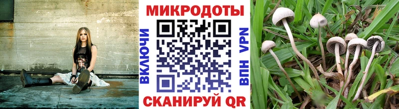 Галлюциногенные грибы ЛСД купить наркотики цена Новоуральск