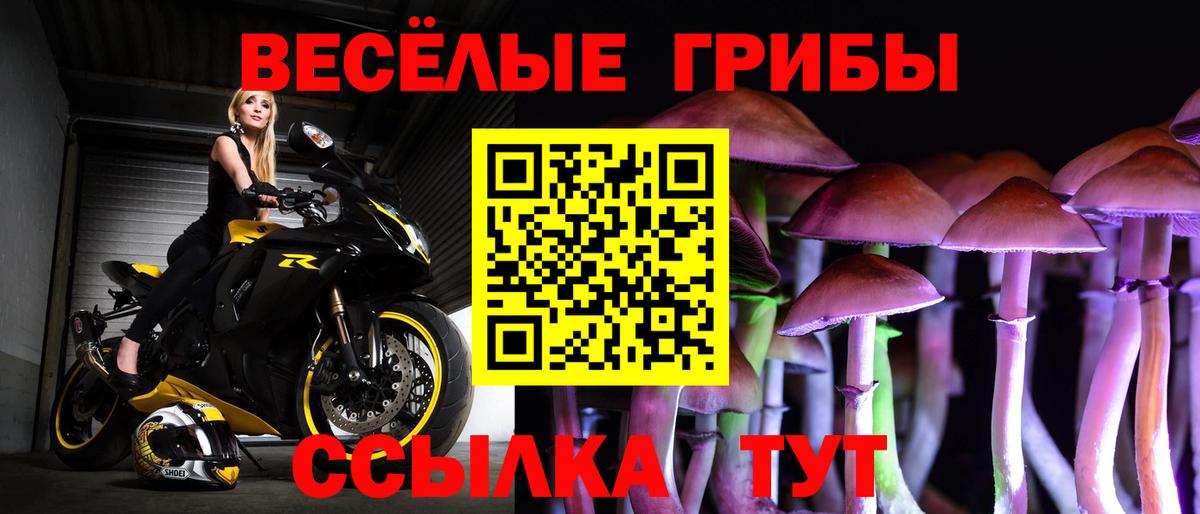 Псилоцибиновые грибы Psilocybine cubensis Новоуральск