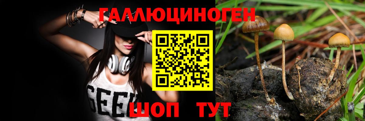 Псилоцибиновые грибы Psilocybe  Галлюциногенные грибы Magic Shrooms  Вход с VPN  Новоуральск 
